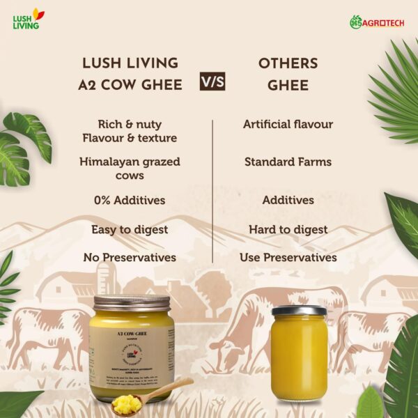 A2 Cow Ghee